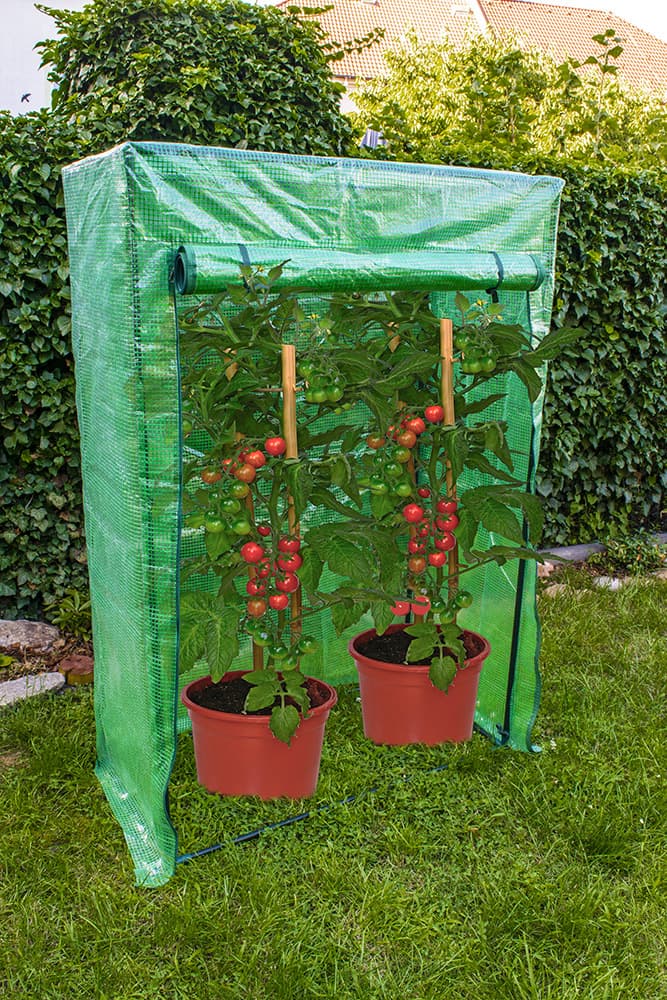Garden King Fóliovník na rajčata TopGreen 100 x 150 x 50 cm BG-F-00704 - náhled 2