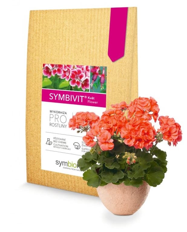 Symbiom mykorhizní houby Symbivit Květ 750 g