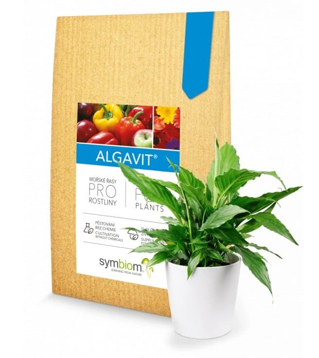 Symbiom mykorhizní houby Algavit 100 g