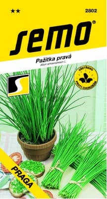 SEMO Pažitka pravá Praga