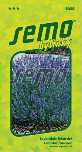 SEMO Levandule lékařská Provence