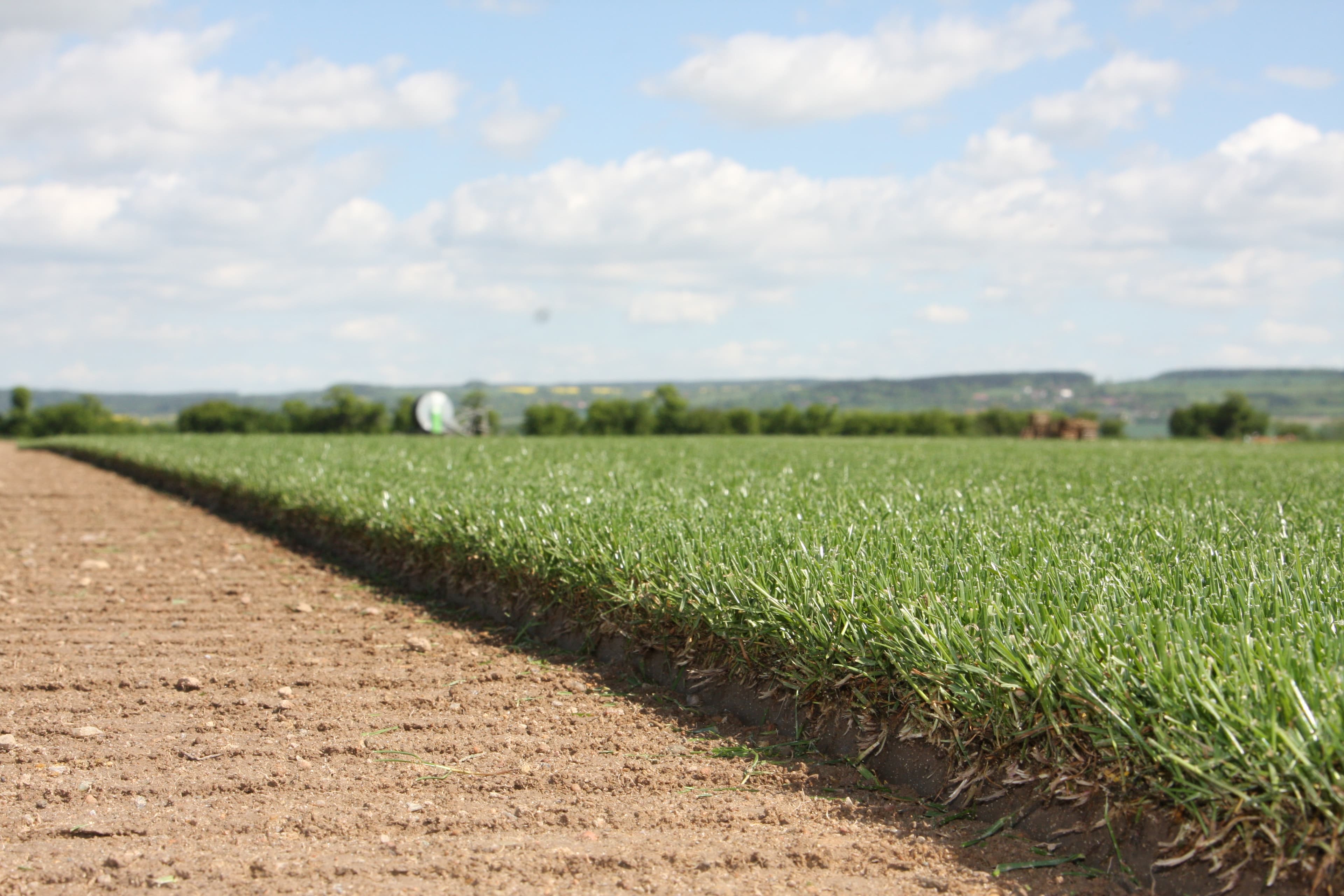 AGRO CS Trávníkový koberec AGRO Park 1-10 m2 - náhled 2