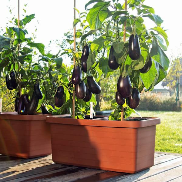 Plastia Samozavlažovací velkoobjemový truhlík Berberis DUO terakota 80 cm 80 cm 39 cm - náhled 2