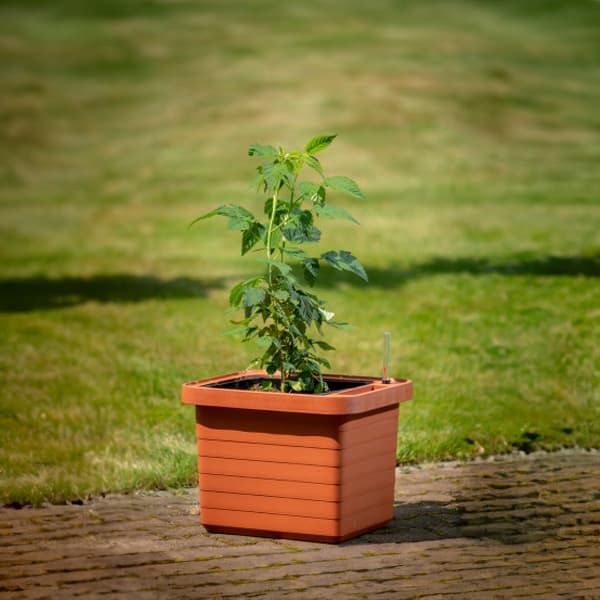 Plastia Samozavlažovací velkoobjemový truhlík Berberis UNO terakota 45 cm x 39 cm x 35 cm - náhled 2