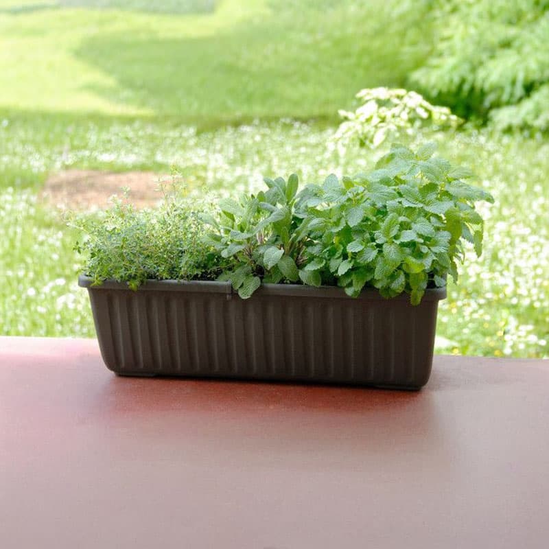 Plastia Samozavlažovací truhlík Siesta LUX čokoláda 40 cm 40 cm 20 cm - náhled 2