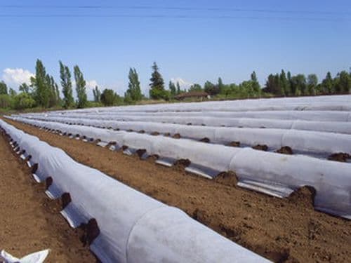 Juta Netkaná zakrývací textilie 19 g/m² 1,6 x 100 m bílá - role - náhled 3