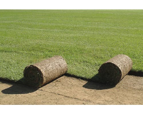 AGRO CS Trávníkový koberec AGRO Park 1-10 m2 - náhled 4