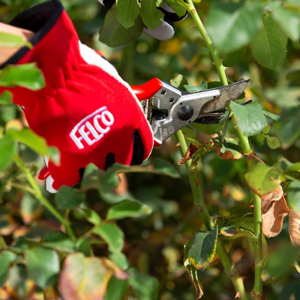 Nůžky na růže a květiny FELCO 100 - náhled 4