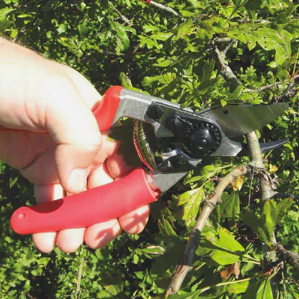Zahradnické nůžky FELCO 17 pro levou ruku s otočnou rukojetí - náhled 4