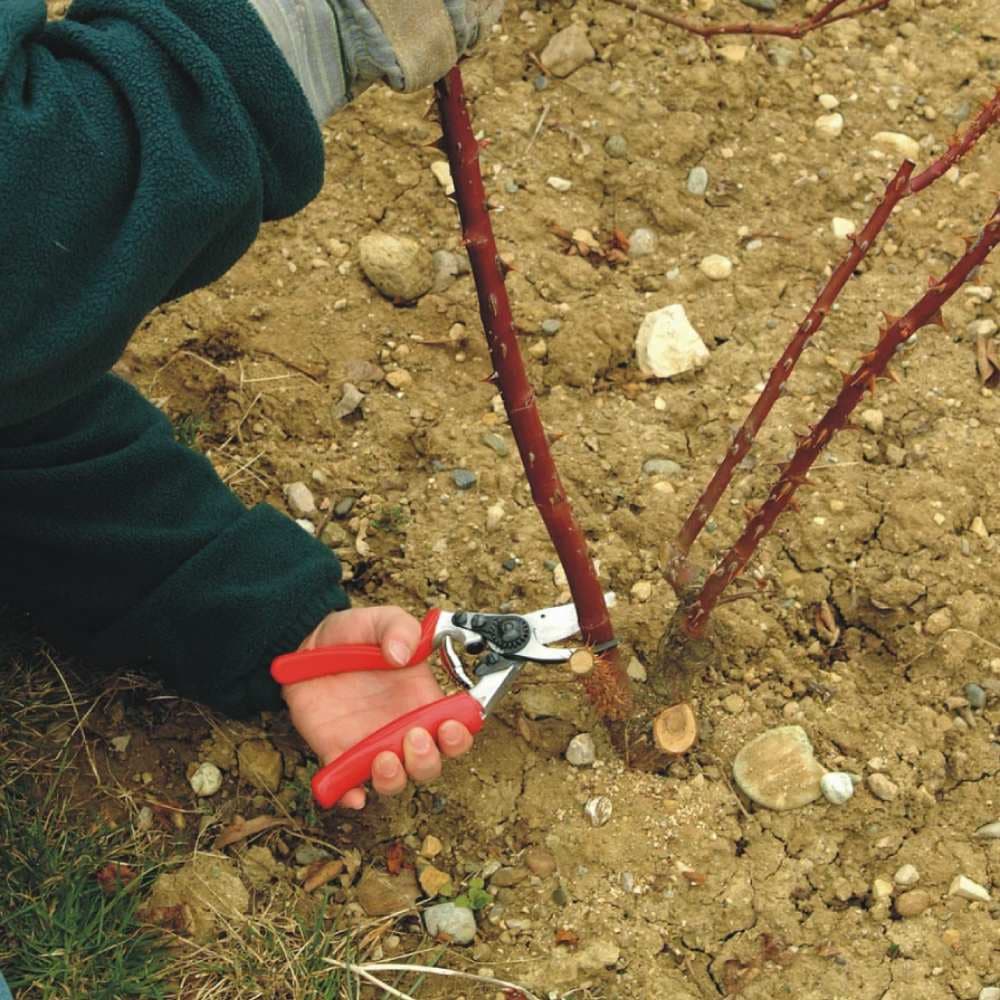 Zahradnické nůžky FELCO 10 pro levou ruku s otočnou rukojetí - náhled 5