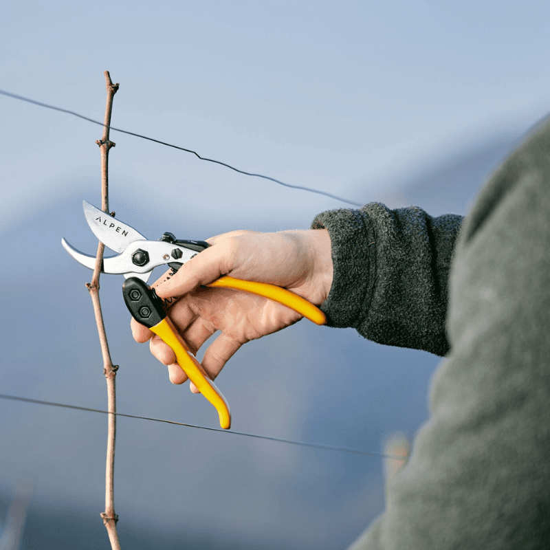 Zahradní nůžky ALPEN Gelbhorn 150 - náhled 5