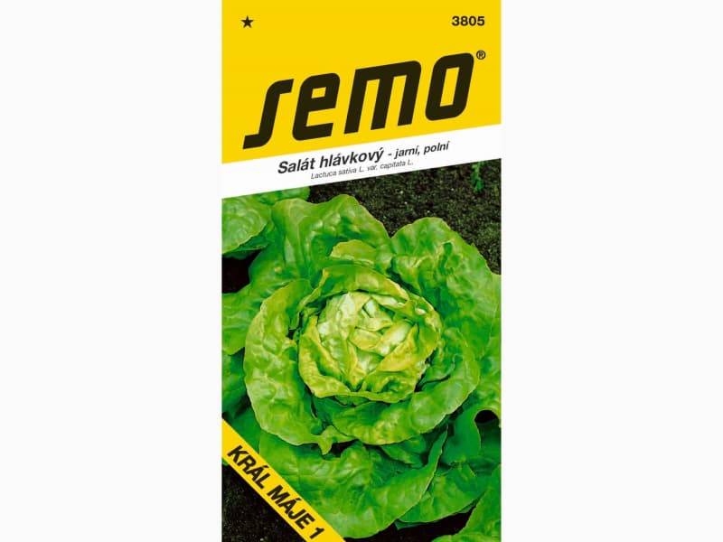 AgroBio Salát KRÁL MÁJE 1