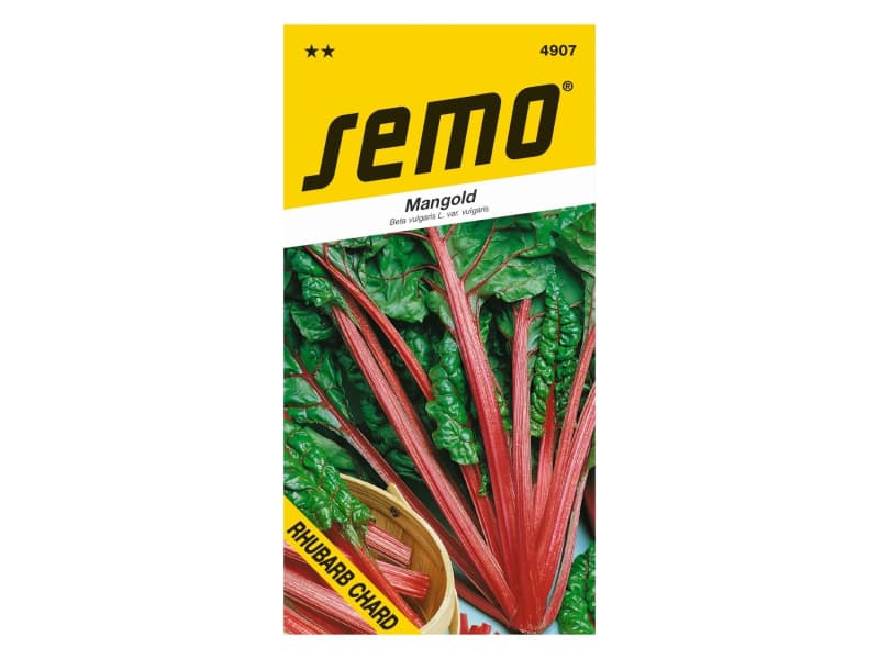 AgroBio Mangold Rhubarb Chard