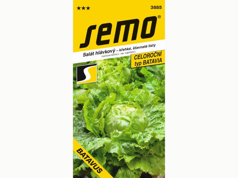 AgroBio Salát BATAVUS