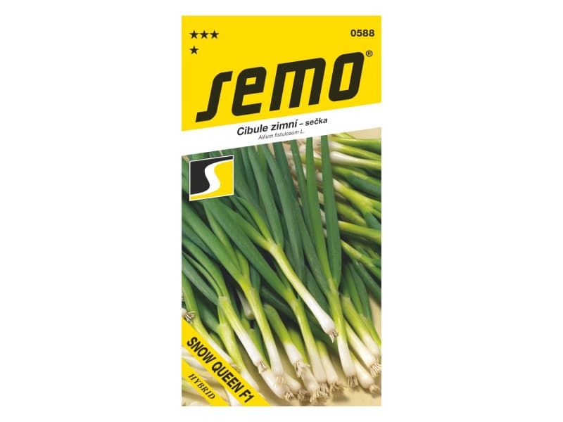 AgroBio Cibule zimní celoroční sečka Snow queen F1