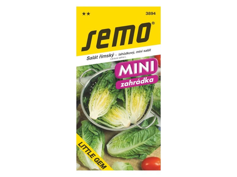 AgroBio Salát římský Little Gem