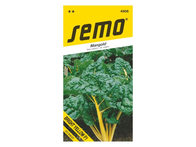AgroBio Mangold Bright yellow F1