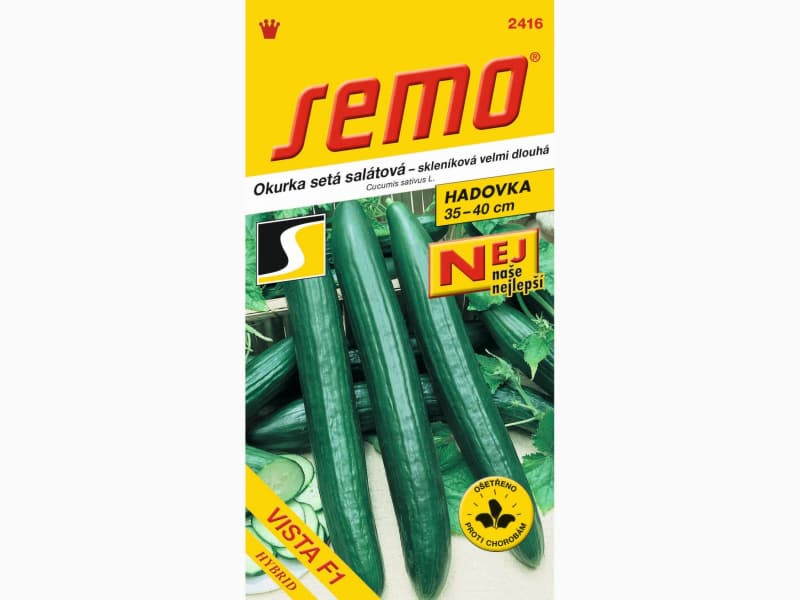 AgroBio Okurka salátová VISTA F1