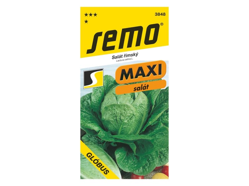 AgroBio Salát římský Glóbus