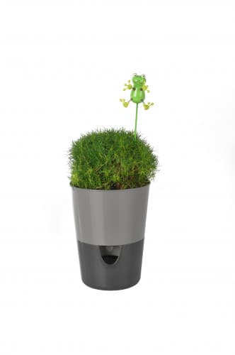 Plastia Samozavlažovací květináč Rosmarin šedá/antracit 11 cm - náhled 2